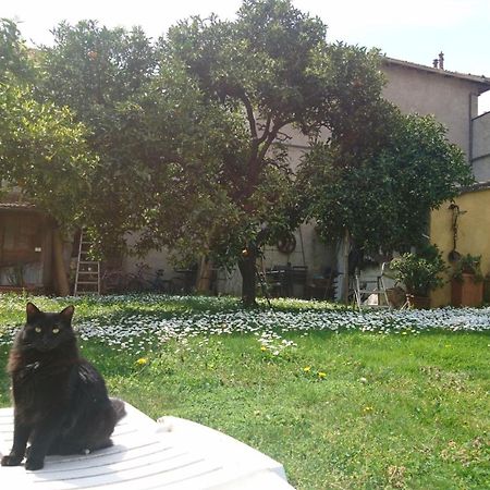 Oddi21 B&B Albenga Bagian luar foto