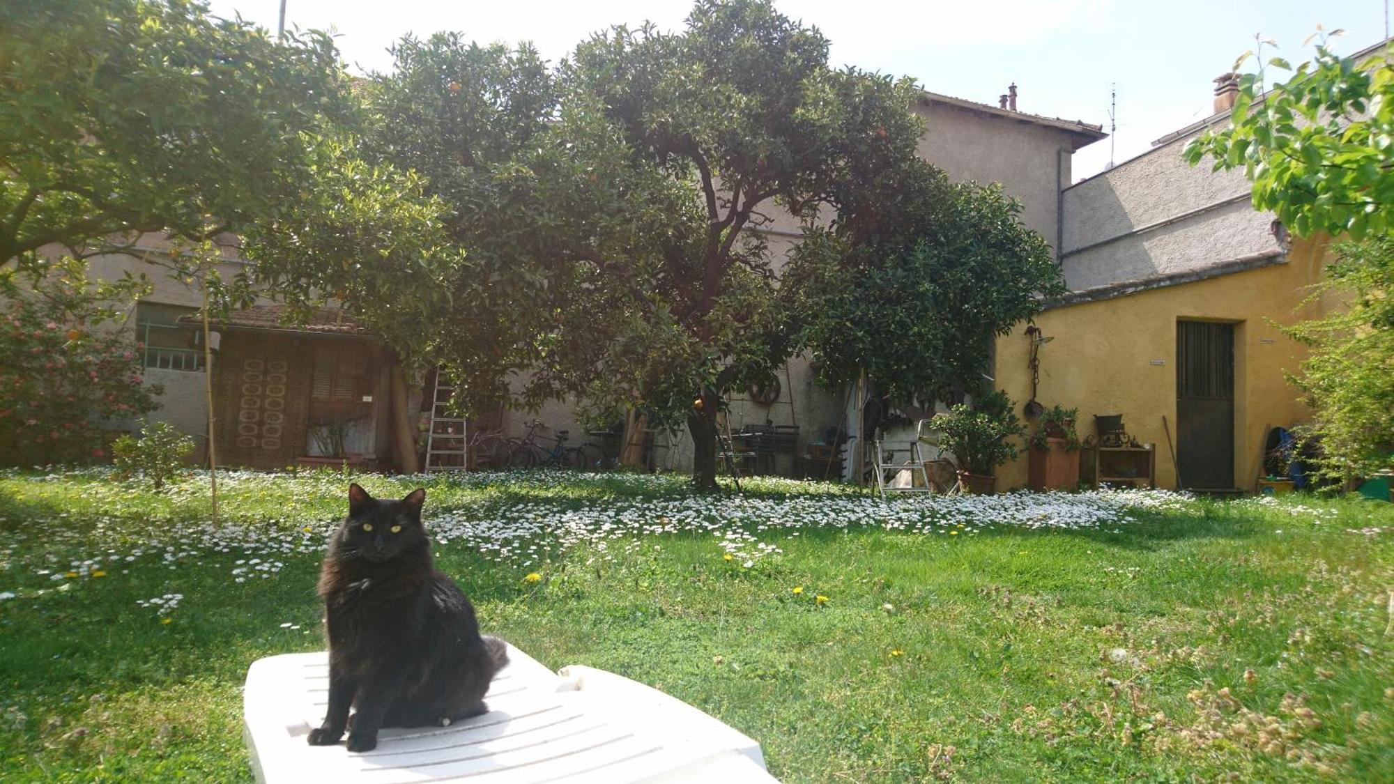 Oddi21 B&B Albenga Bagian luar foto
